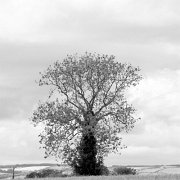 Black and white_0001.jpg